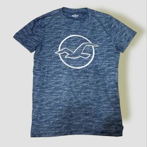Hollister Tee